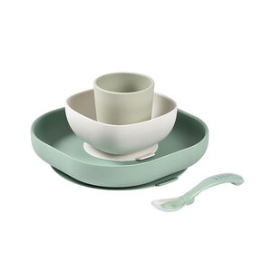 Set de comida de 4 piezas de silicona sage green 