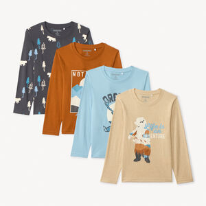 Lote de 4 camisetas de manga larga fantasía para niño 