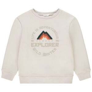 Sweat uni avec print fantaisie brodé pour garçon  