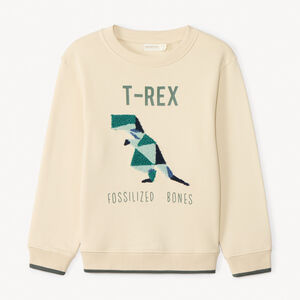 Sudadera de molleton con bordado efecto rizo para niño 