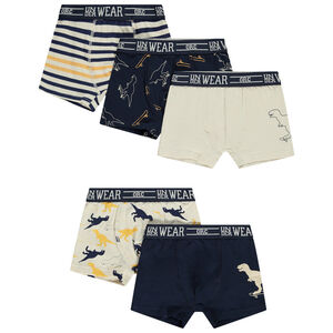 Pack de 5 bóxers Dinosaure para niño 