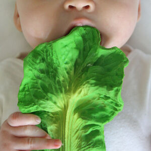 Mordedor Kendall the kale 