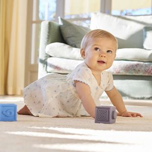 Blueberries 0-12 meses