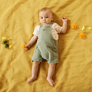 Baby elephant 1-12 meses